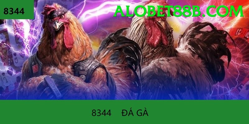 Đá Gà Trực Tiếp - Trải nghiệm tuyệt vời